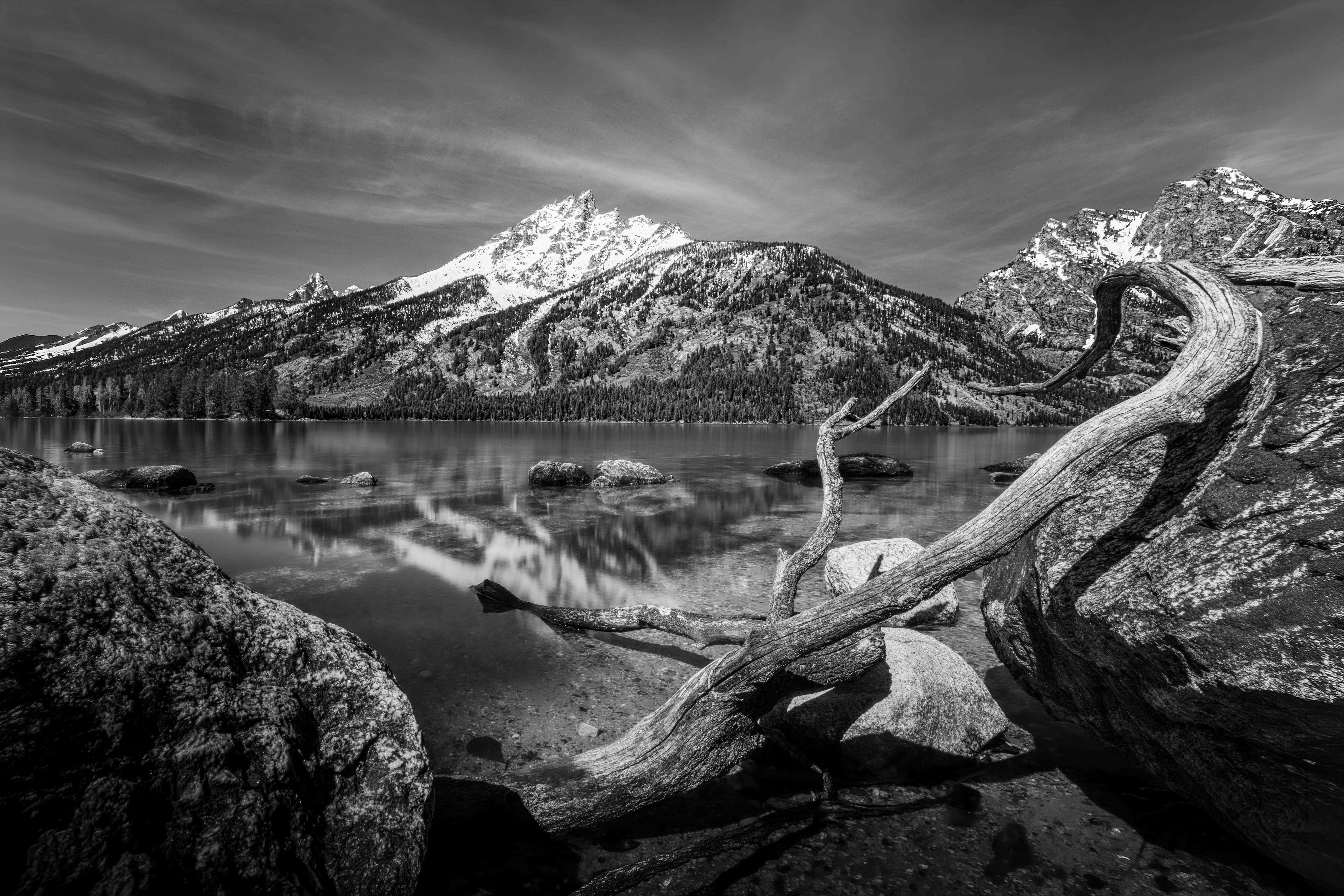 Mountains and Driftwood